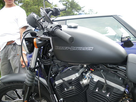 HARLEY
