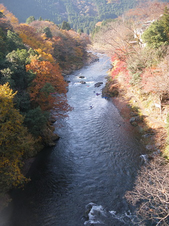 IMGP7228