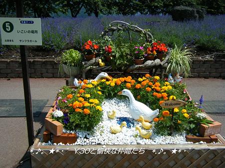DSCF8681_pa