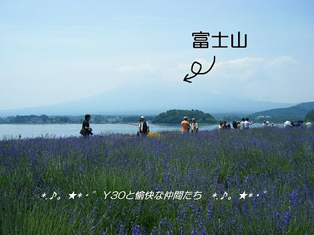 DSCF8707_pa