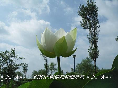 DSCF0047_pa