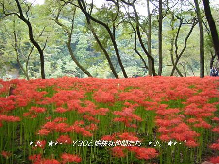 DSCF8885