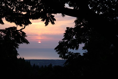 木の間から夕日と日本海