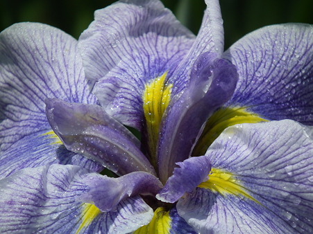 DSCF0115