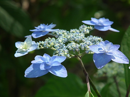 DSCF0716
