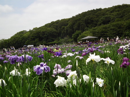 DSCF0162