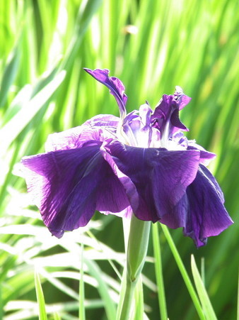 DSCF0872