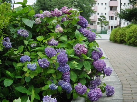 DSCF0044