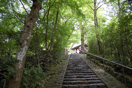 鈴虫寺の階段