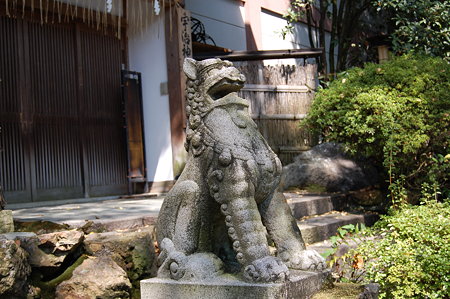宇治神社の狛・・・犬？