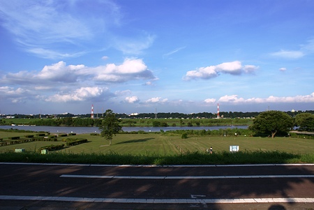 江戸川土手