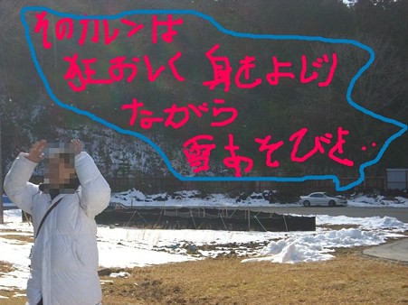 CIMG3231