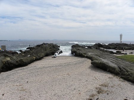 城ヶ島_3