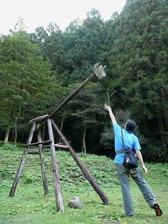 木の体験広場