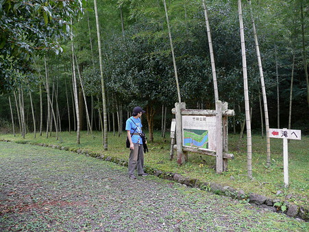 竹林公苑