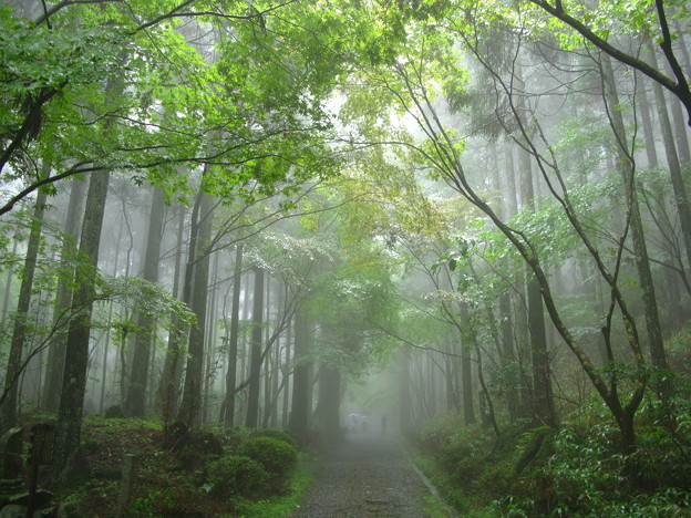 幻想郷へ続く道 写真共有サイト フォト蔵