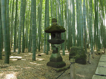 報国寺2