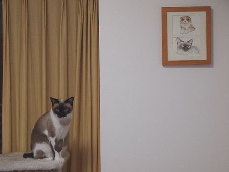 似てるでしょ♪