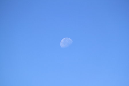 IMG_0406