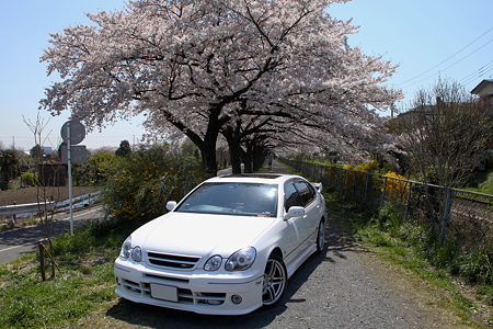 アリスト@フロント