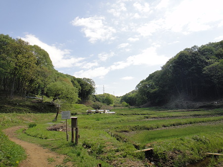 100429 奈良ばい谷戸