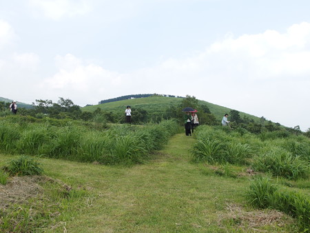 P6290395
