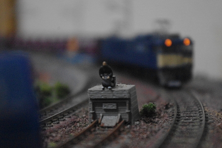 IMGP0234