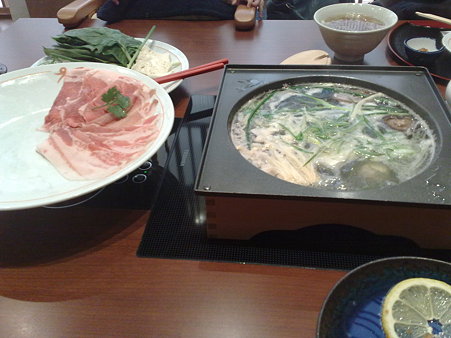 20090529279