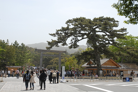 20110502_伊勢神宮 内宮