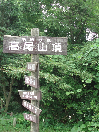P7185697