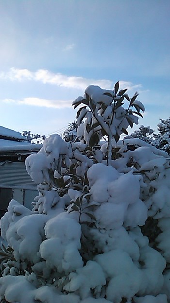 大洗にも雪か積もってます 珍しい景色です 写真共有サイト フォト蔵