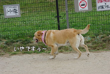 s-myu2009_0530(097)
