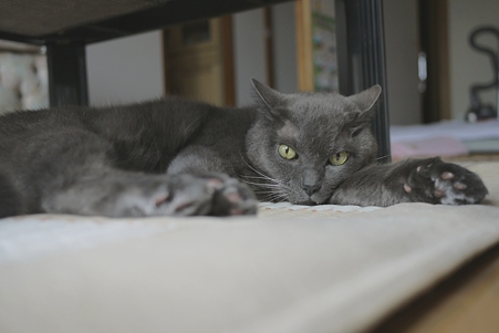 ISO160_F2.2_SS200_EV-0.7_AWB