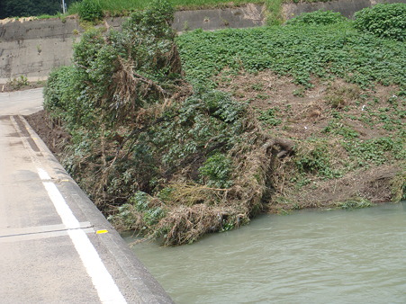 増水により沈下橋川に沈む