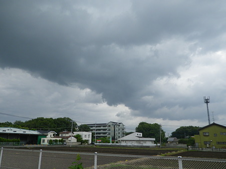 IMGP2484