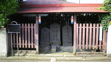IMGP5461