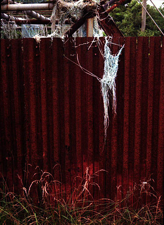 Image0639(OLYMPUS PEN F)