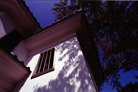 Image0971（Nikon F5）