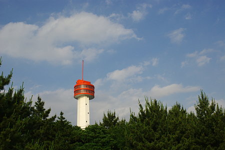 IMGP6840