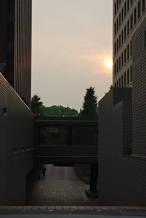 IMGP7194