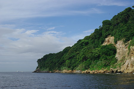 IMGP7873