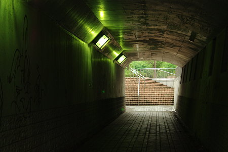 IMGP0338