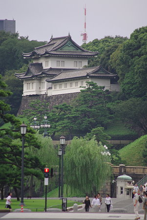 IMGP5039