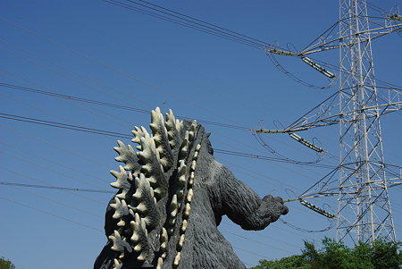 IMGP6234