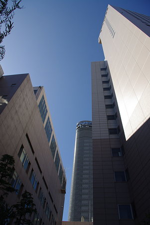 IMGP7696