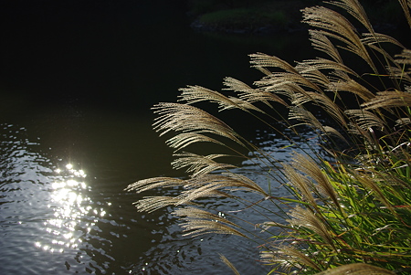 IMGP8255