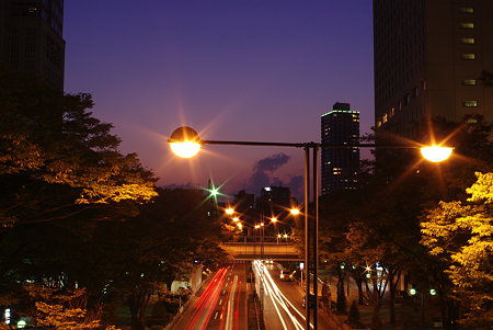 IMGP8496