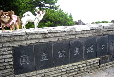 P1050463