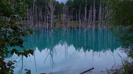 DSC00074