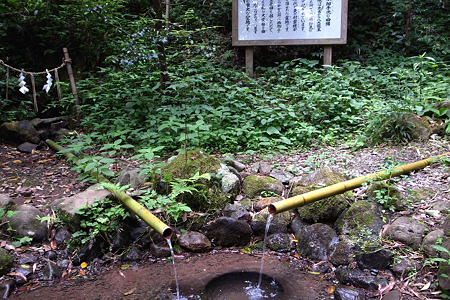RIMG0804